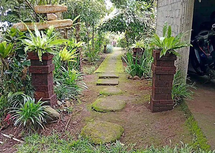 Bali Mountain Forest Lodge *