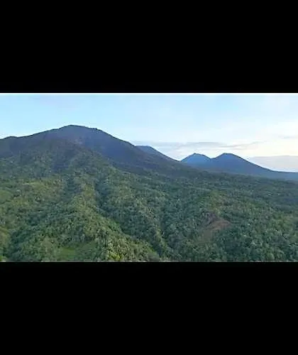 Bali Mountain Forest
