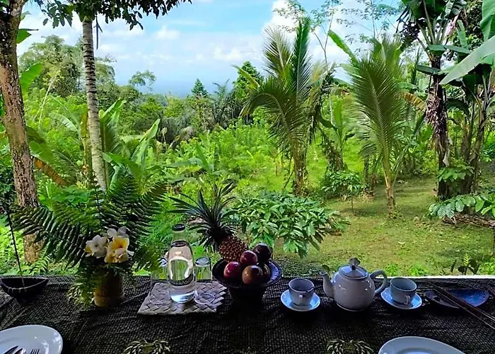 Bali Mountain Forest Wongaya Gede