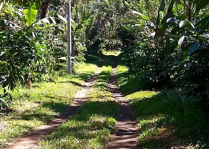 Lodge Bali Mountain Forest *
