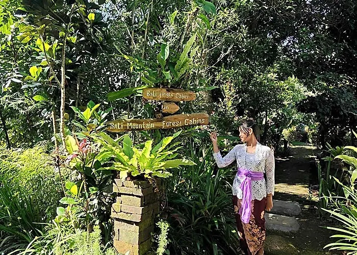 Bali Mountain Forest Lodge Wongaya Gede