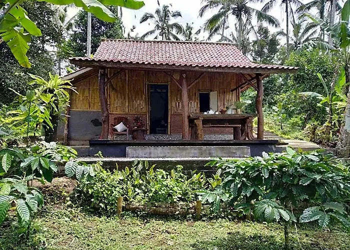 ロッジ Bali Mountain Forest *