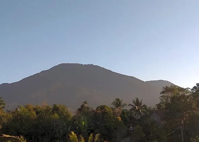 Bali Mountain Forest * Wongaya Gede